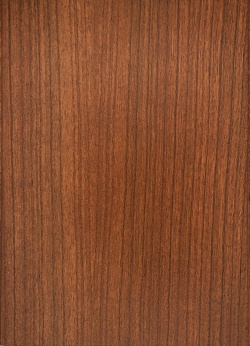 CF-20-30-on-Select-Cherry