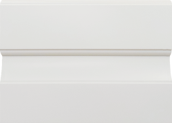 Ivory_XF10