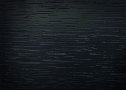 black_XF8